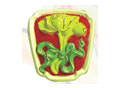 Ŵ