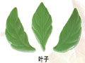 Ŵ